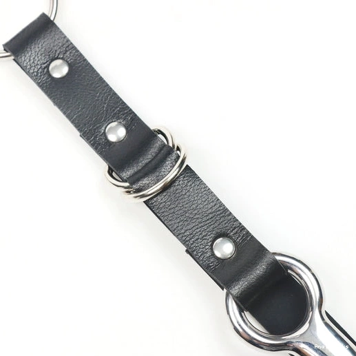 Anal Hooks with and 5853 Kinky Hook Anal EverydayUse Leash Collar 1001